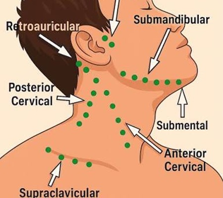 Head & Neck Surgery